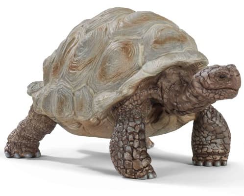 SCHLEICH Figurice Divlje životinje - Džinovska kornjača 14824