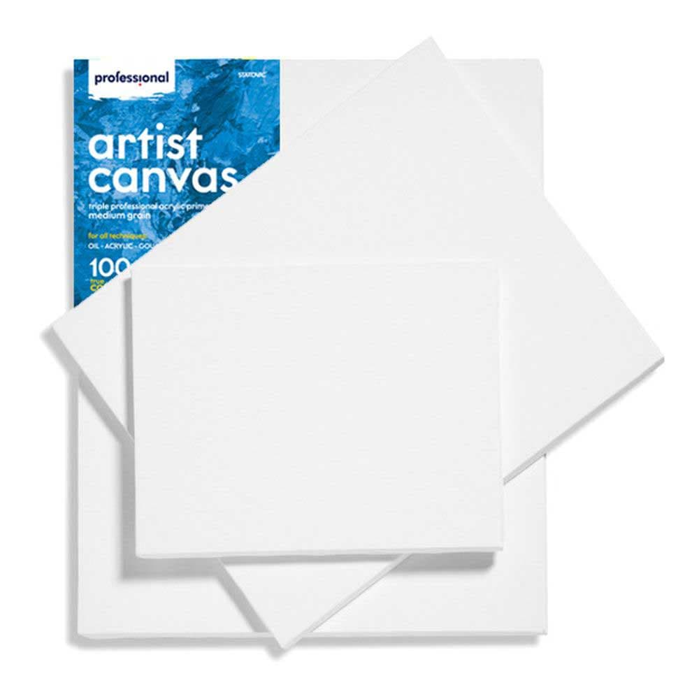 Slikarsko platno na blind ramu 30x20cm Professional 602001