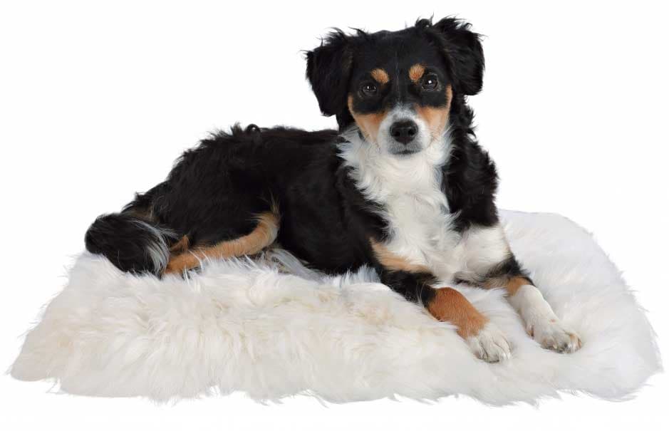 Jastuk prostirka za psa od ovčjeg krzna Trixie 2851