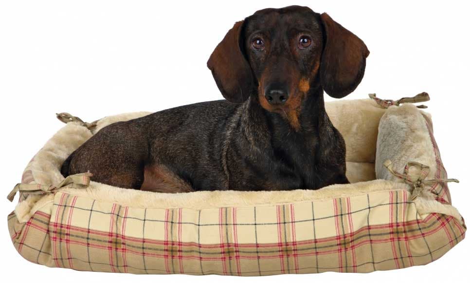 2 u 1 Krevet i jastuk za pse Trixie Relax 2855