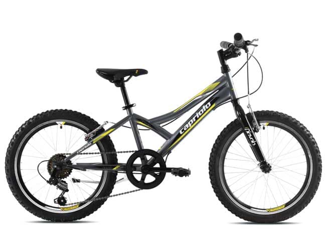 Dečiji bicikl Capriolo Diavolo 200 920291-11