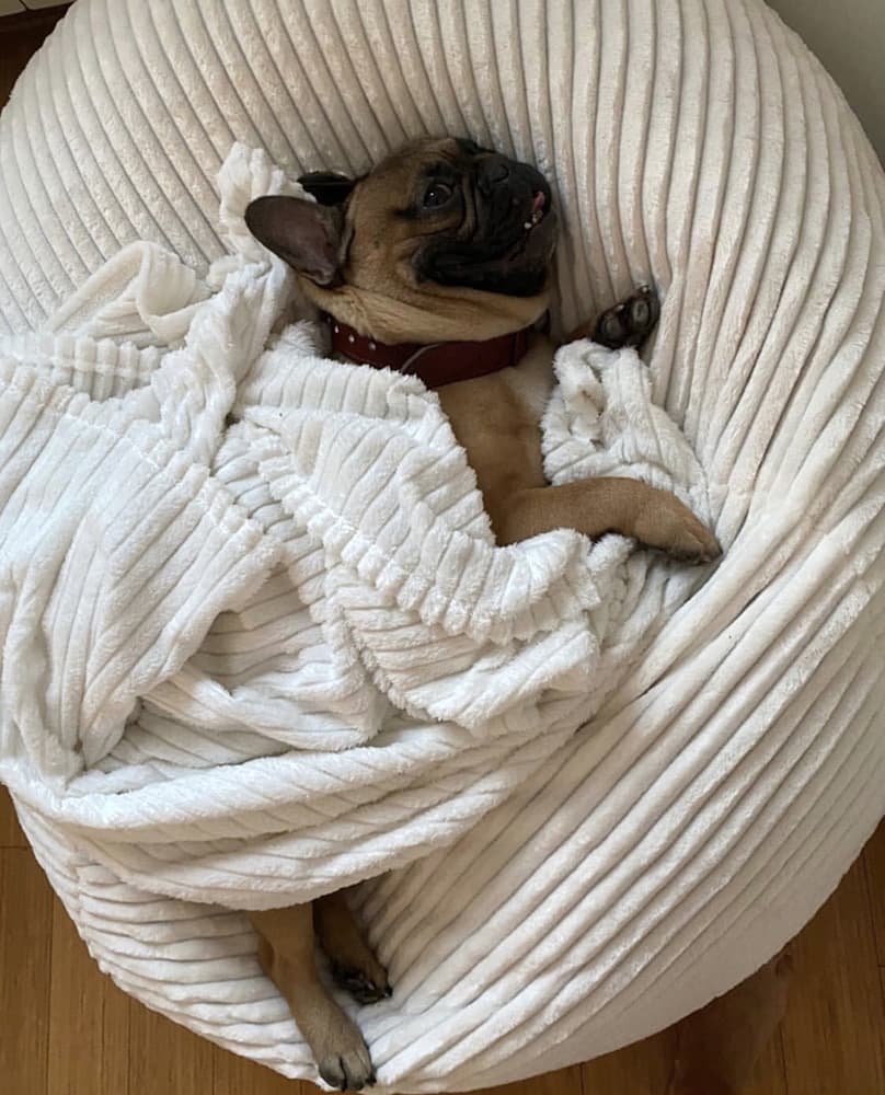 Krevet za psa ili mačku od mikrofibera