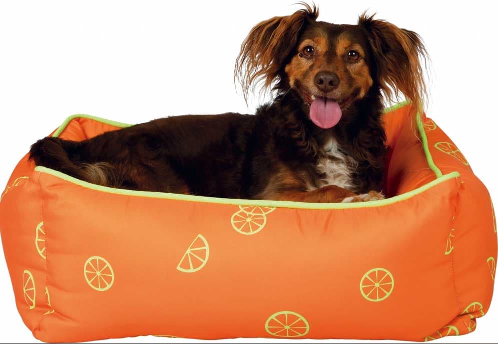 Krevet za pse malih rasa ili mačke Trixie Fruits 37367