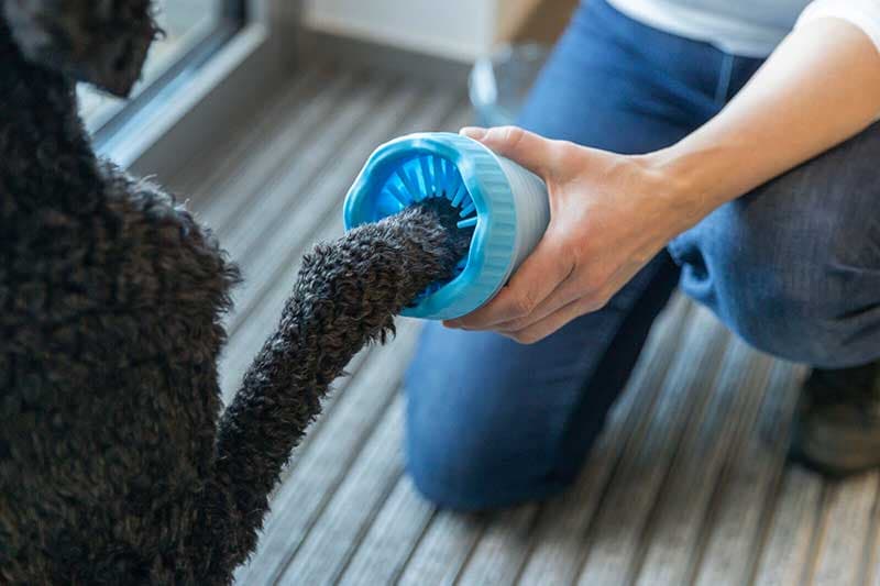 Trixie Posuda za pranje šapa veličina S-M 25704