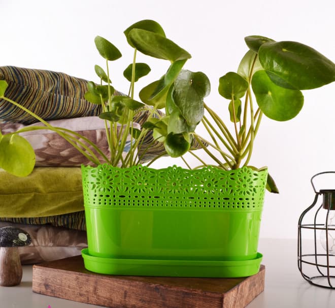 Žardinjera sa tacnom Vista svetlo zelena