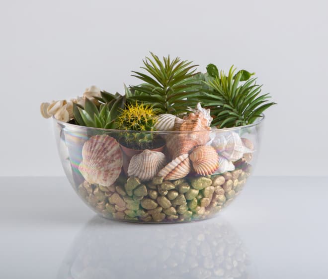 Čeri providna saksija 18cm 