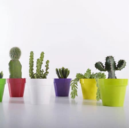 Crystal Plus saksija 14cm  ljubičasta