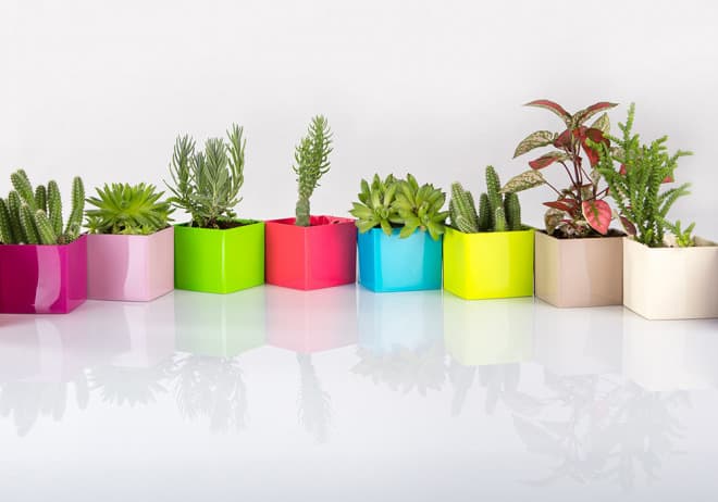 Magnetna saksija Cube 6x6 cm krem