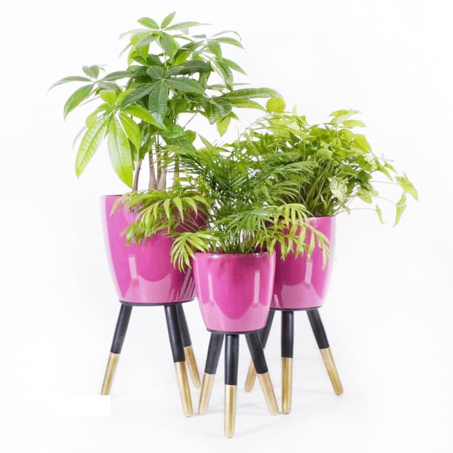 Drveni stalak zlatno-crni sa roze saksijom 30 cm