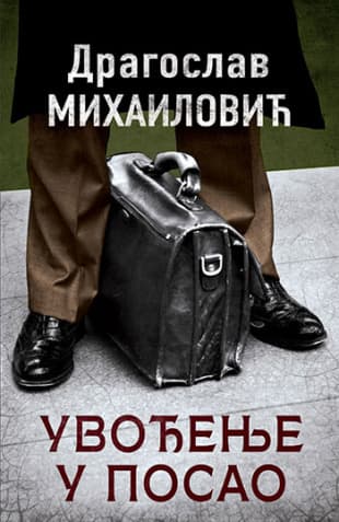 Uvođenje u posao - Dragoslav Mihailović