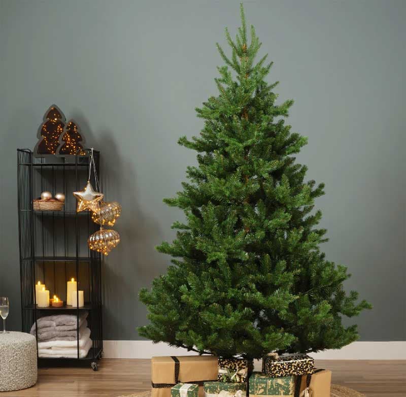 Novogodišnja jelka Everlands Alba fir 210cm 68.4466