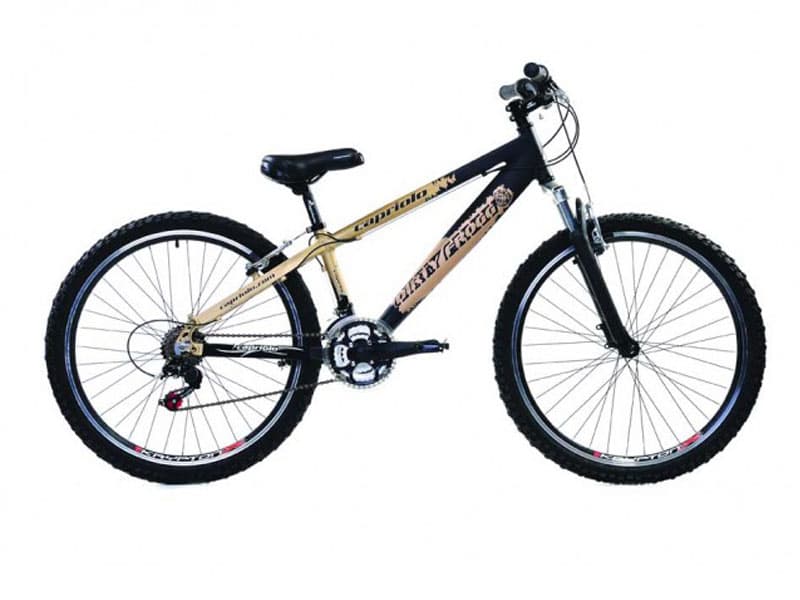 MTB DIRTY FROGG m.crno-mat zla