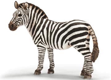 Schleich Divlje Životinje - Zebra, ženka 14392