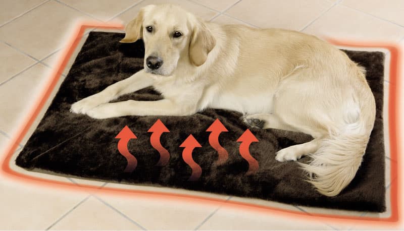 Prostirka Za Psa ili Mačku 58 x 48 cm