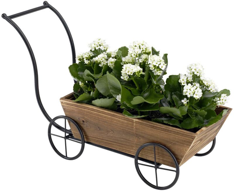 Žardinijera Sa Kolicima Metal - Borovina