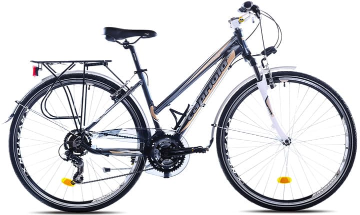 Bicikl Capriolo Roadster Tour Lady 28/21AL belo sivo 913607-19