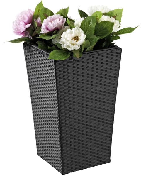 Visoka Saksija Od Ratana crna