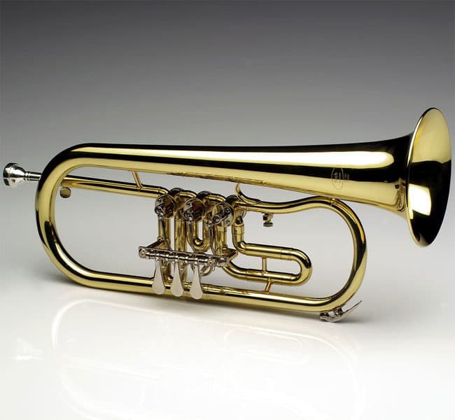 Lyra Flugelhorna FH100