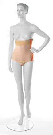 Abdominalni steznik za žene LGA veličina M