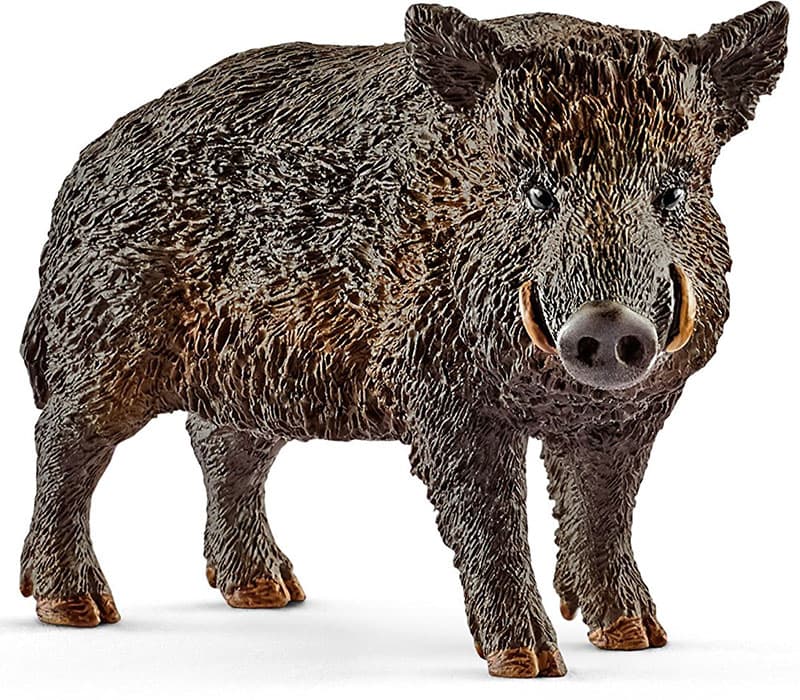 Schleich Figure Divlje životinje - Divlja svinja 14783