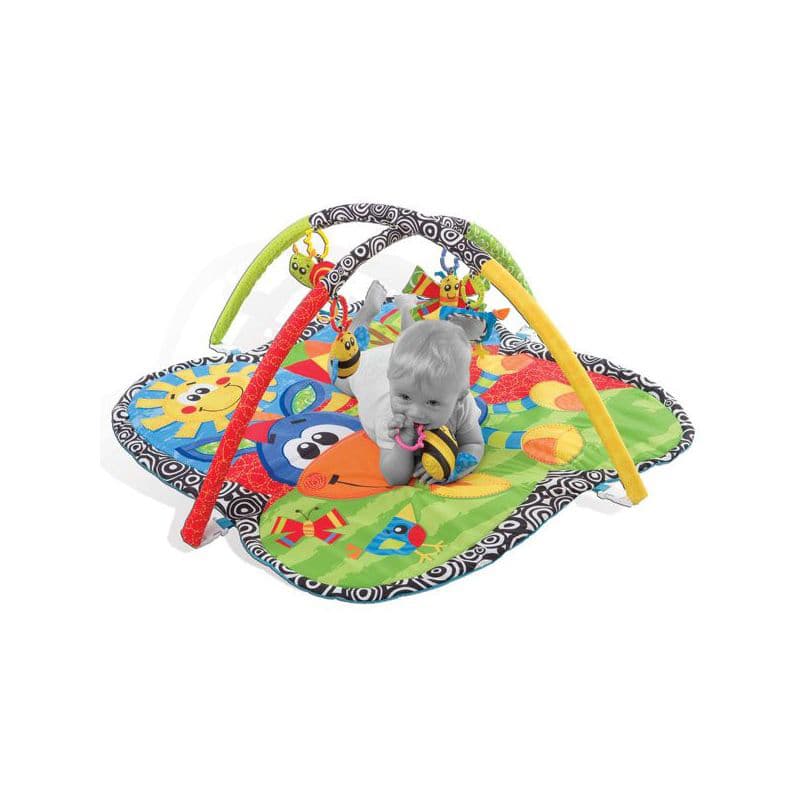 Vežbaonica magarence 182618