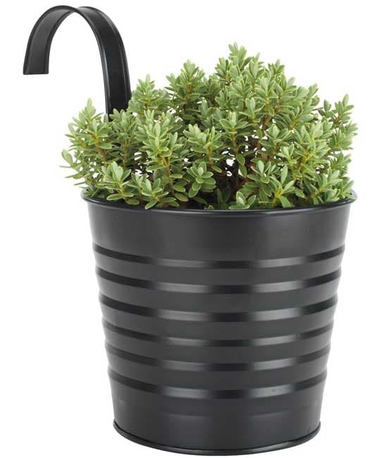 Balkonska saksija Mollie