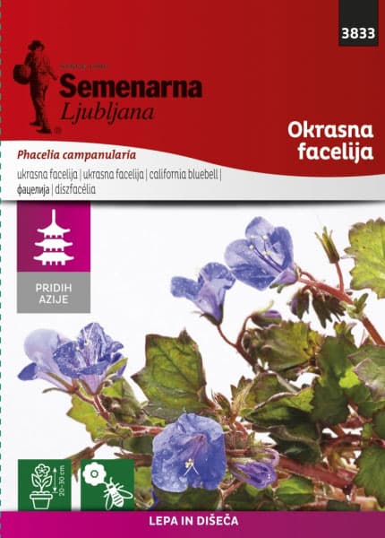 Seme za cveće Ukrasna facelija - Phacelia camapnularia - 3833