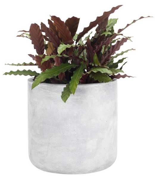 Saksija Flugi prečnik 33cm siva