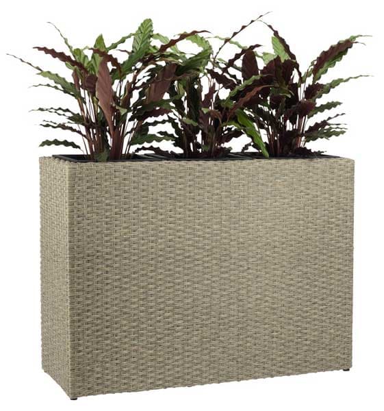 Saksija od petana Skandi 30x84x60cm natur