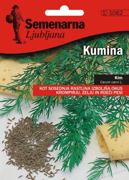 Seme za začinsko bilje - Kim - Carum carvi L. 1082