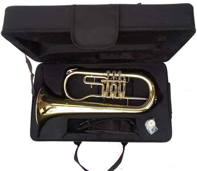 Moller Fligorna FH-819LR