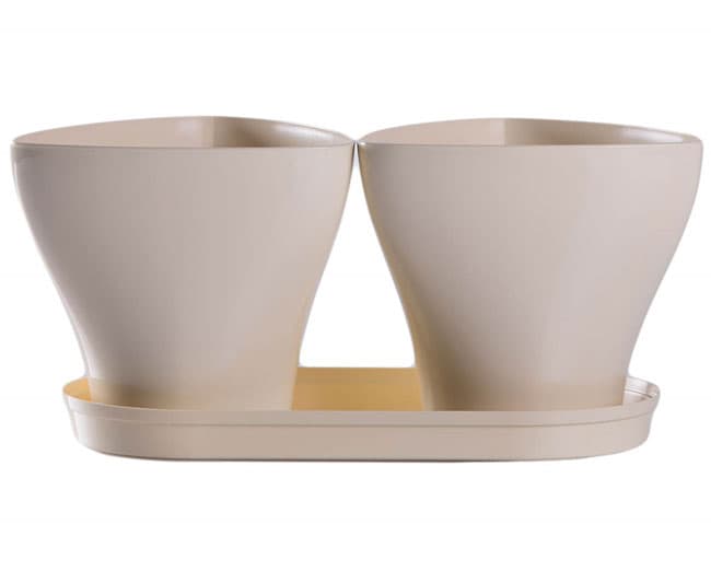 Saksije za cveće sa tacnom Jazz Mix and Play Krem