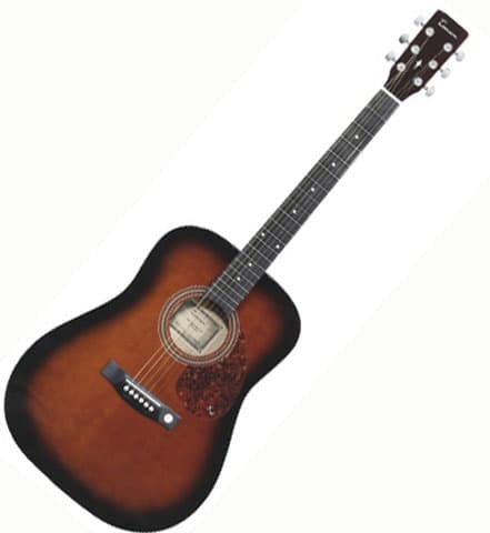 Tenson Akustična Gitara D1 lightbrown