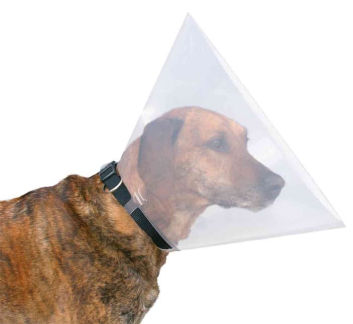 Trixie Zaštitna kragna za pse veličina L-XL 19486