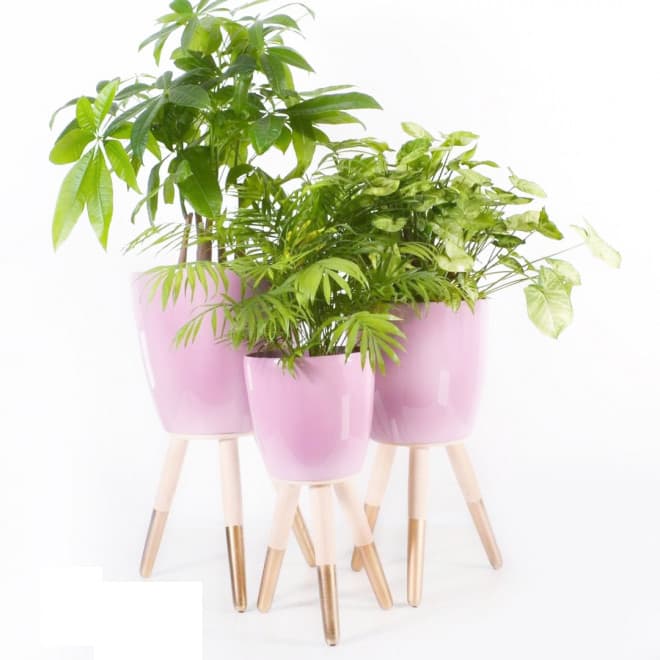 Drveni zlatno-beli stalak sa jorgovan saksijom 30cm