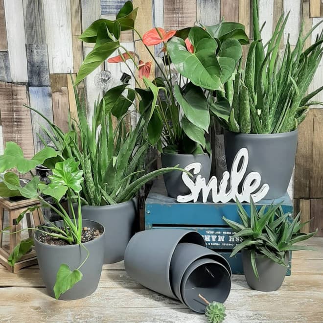 Komplet saksija u mat sivoj boji 8 komada