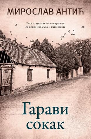 Garavi sokak - Miroslav Antić