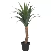 Kliknite za detalje - Atmosphera Dekorativna Biljka Yucca Palma