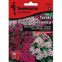 Kliknite za detalje - Seme za cveće 5 kesica Turski karanfil - mešavina -  Dianthus barbatus 3133