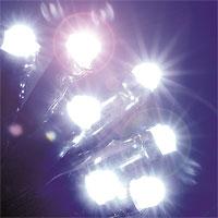 Novogodišnje sijaličice - lampice 176 LED belih sijalica KTC 070