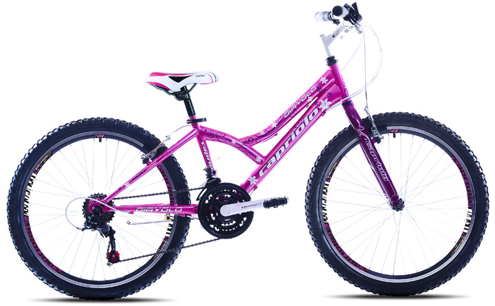Bicikl Capriolo Diavolo 400 24/18HT pink ljubičasta 914304-13 Cena, Prodaja