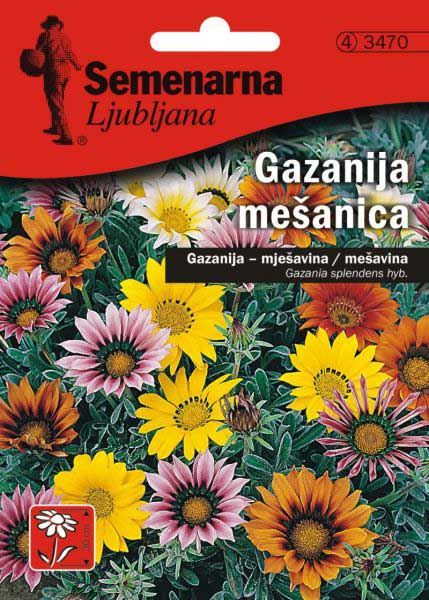 Baštensko cveće Gazanija - mešavina - Gazania splendens hyb. 3470 - thumbnail 0