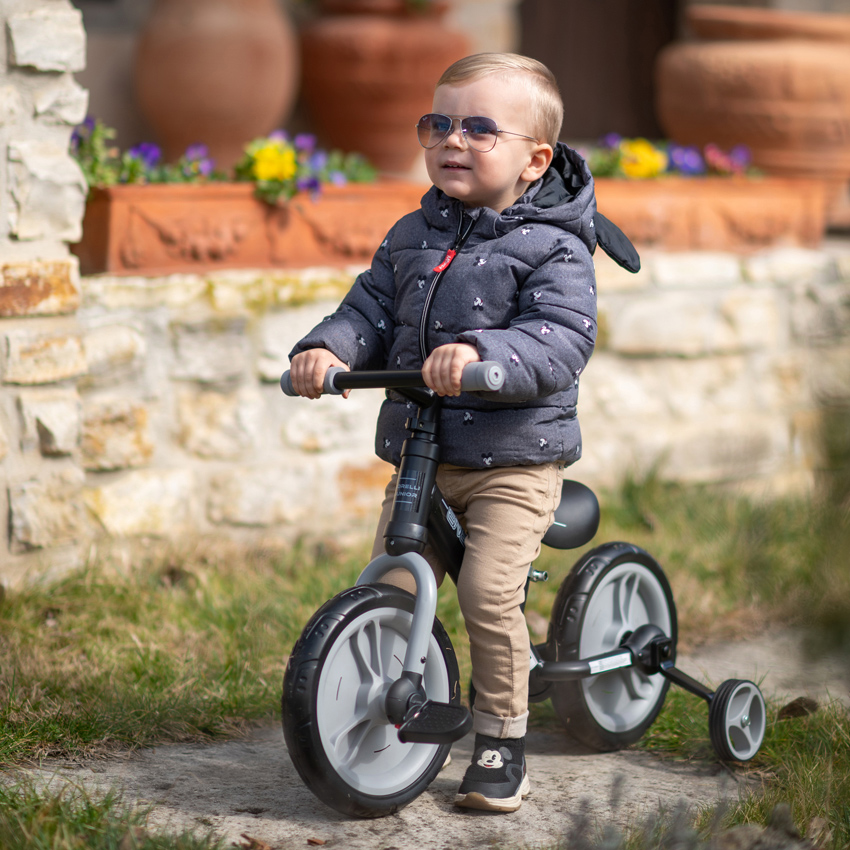 LORELLI Dečija bicikla i balance bike ENERGY 2in1 pink 10050480005 - thumbnail 4